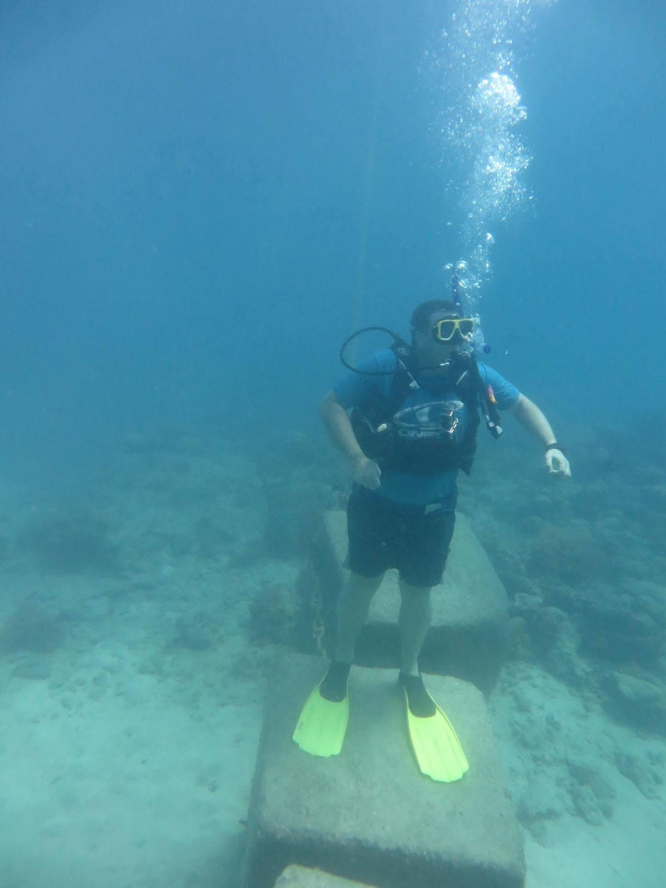 Reef Backpackers Vandrarhem Cairns Exteriör bild